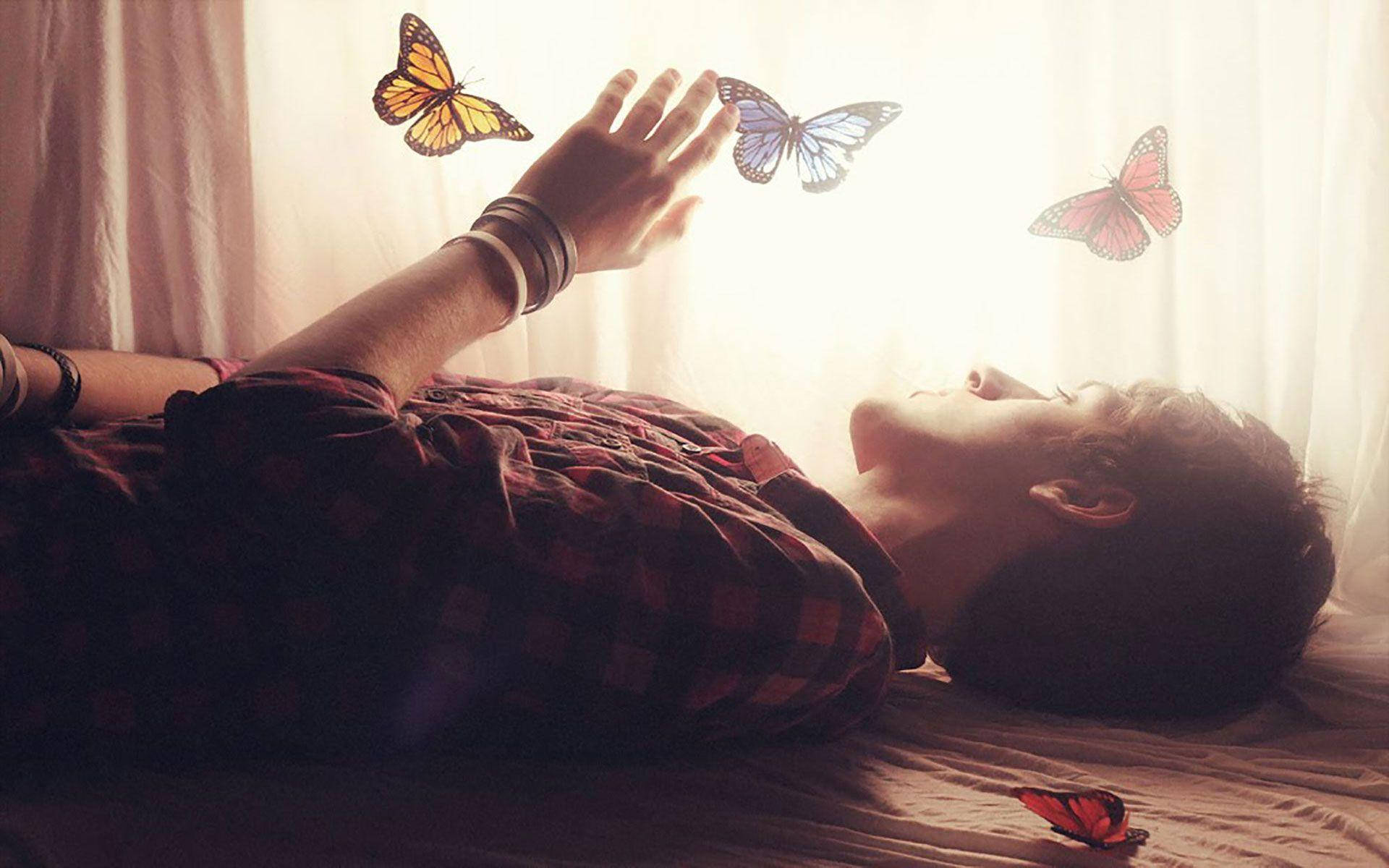 Love Alone Butterflies Background