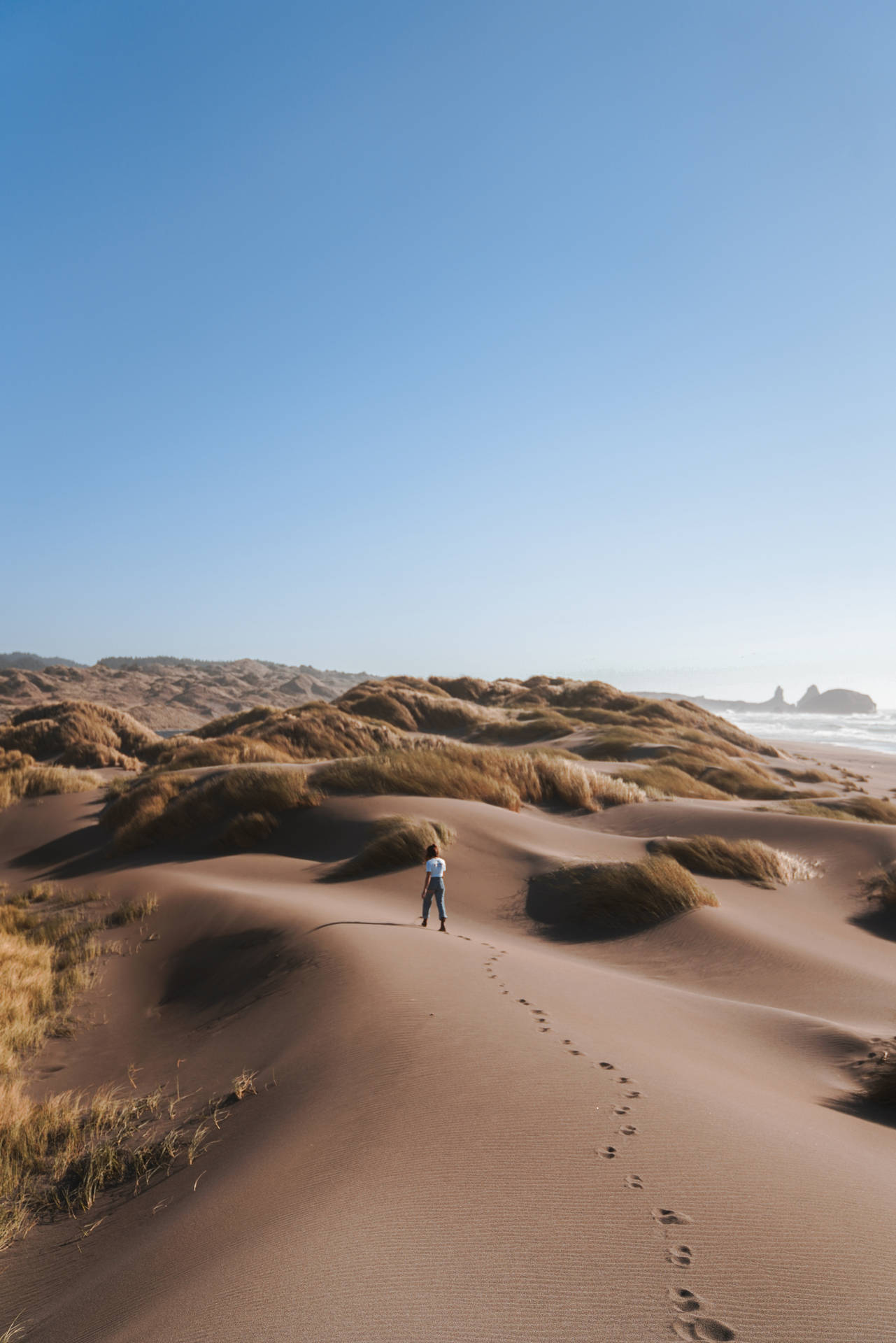 Love Alone Walking In Desert