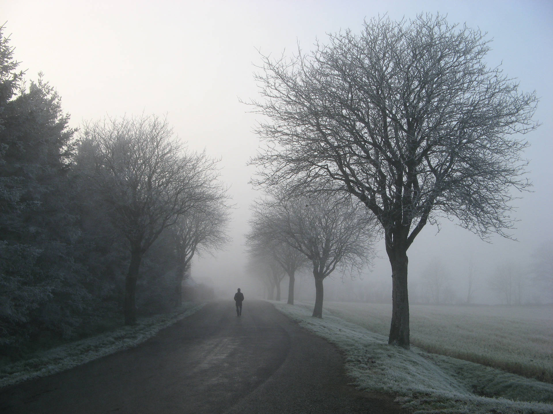 Love Alone Winter Road Background