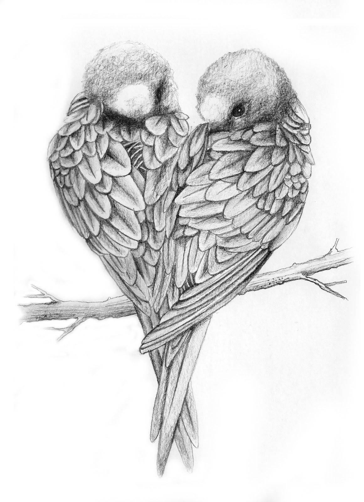 Love Birds Pencil Sketch Background