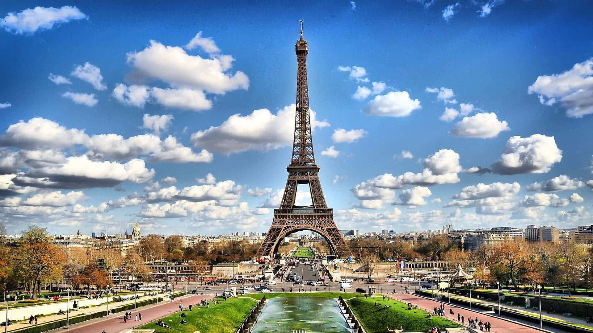 Love Blooms In The City Of Lights! Background