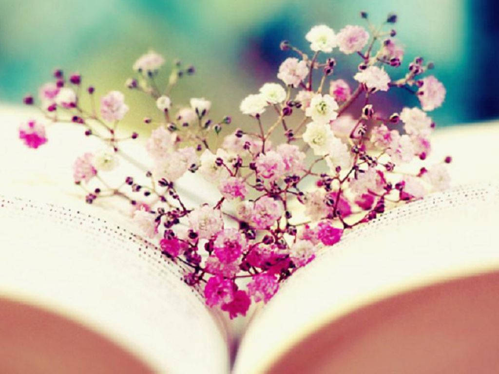 Love Blooms On Every Page