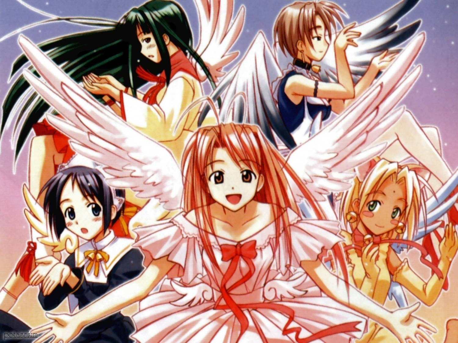 Love Hina With Wings Background