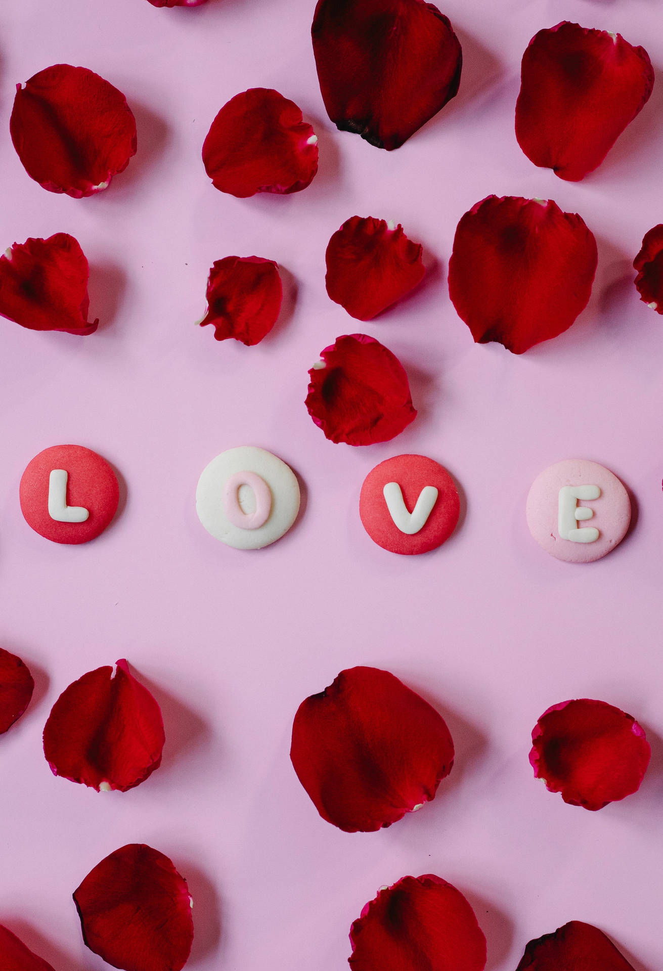 Love Inscription Red Roses Background