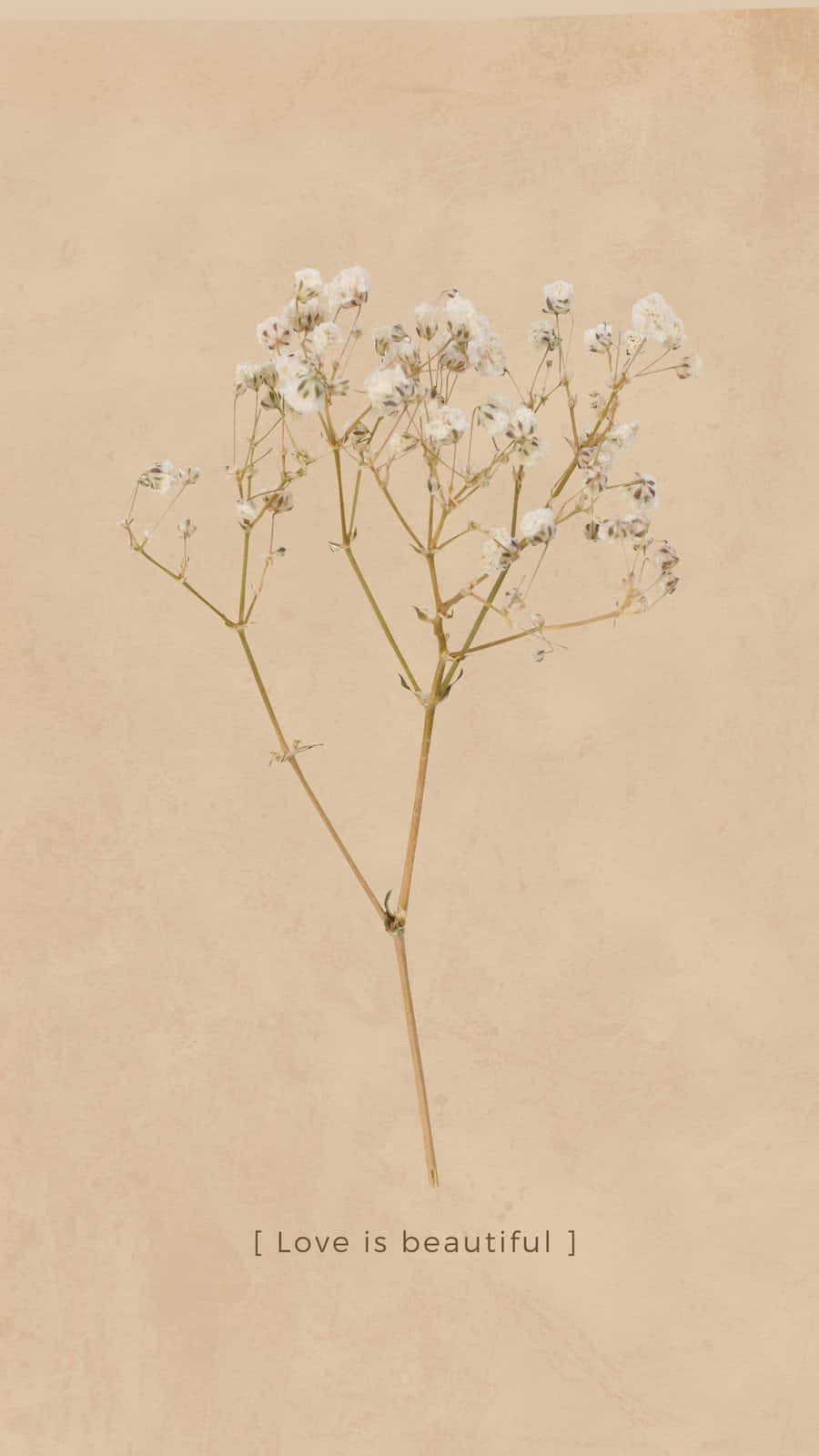 Love Is Beautiful Dried Flowers Artwork Background