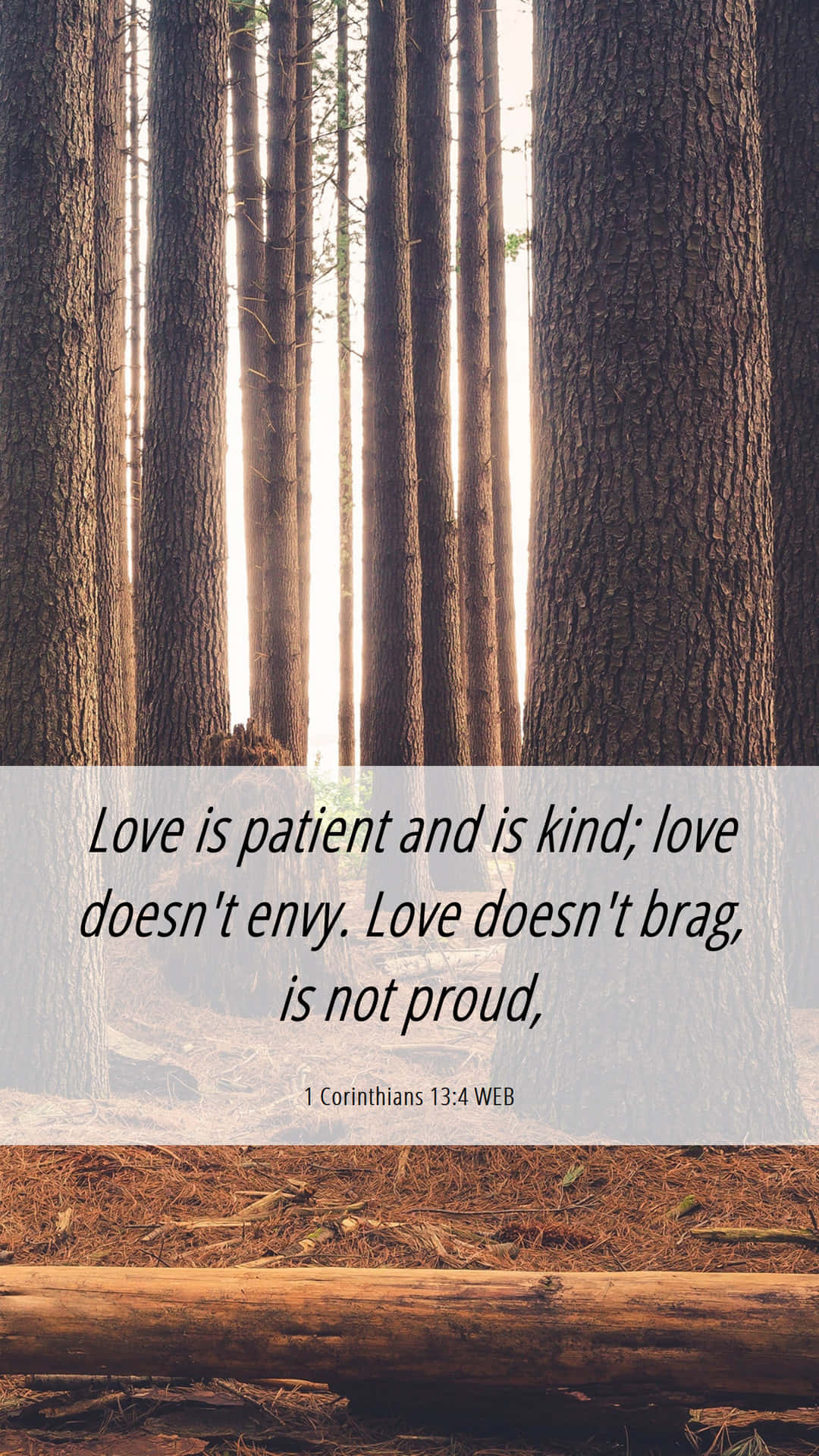 Love Is Patient And Kind