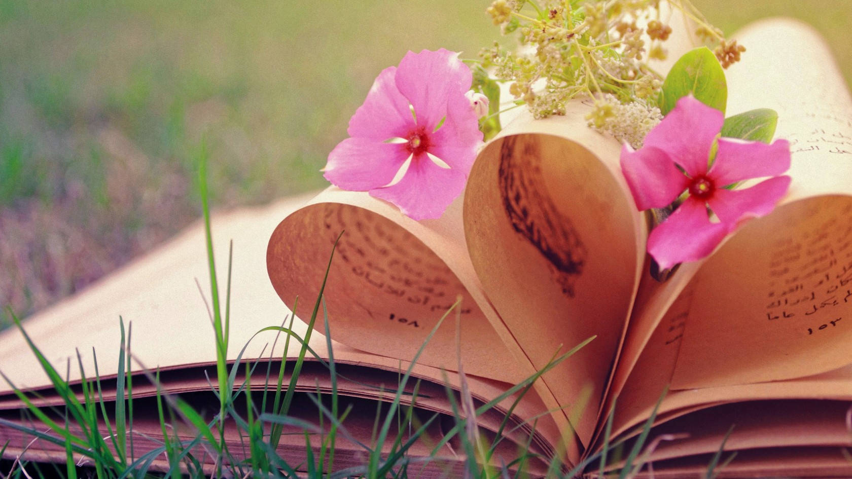 Love Nature Book Background