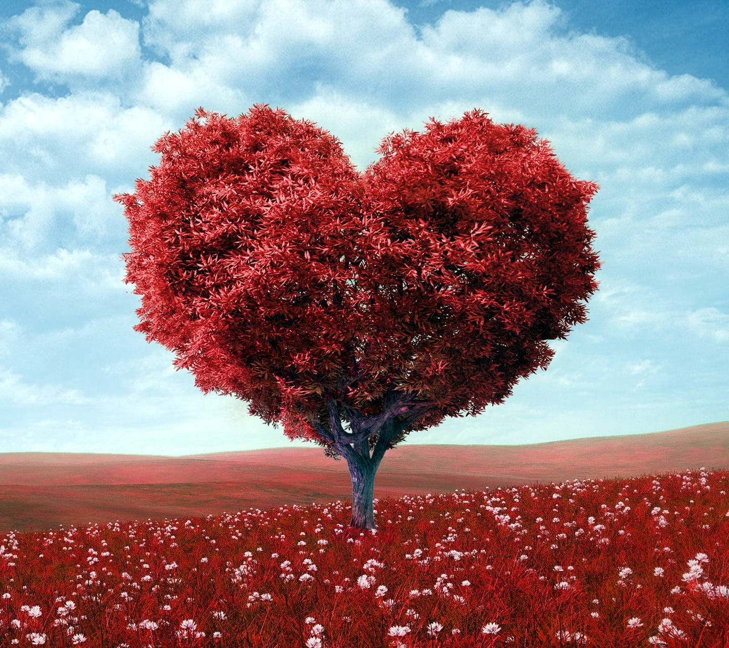 Love Nature Red Heart Tree Background