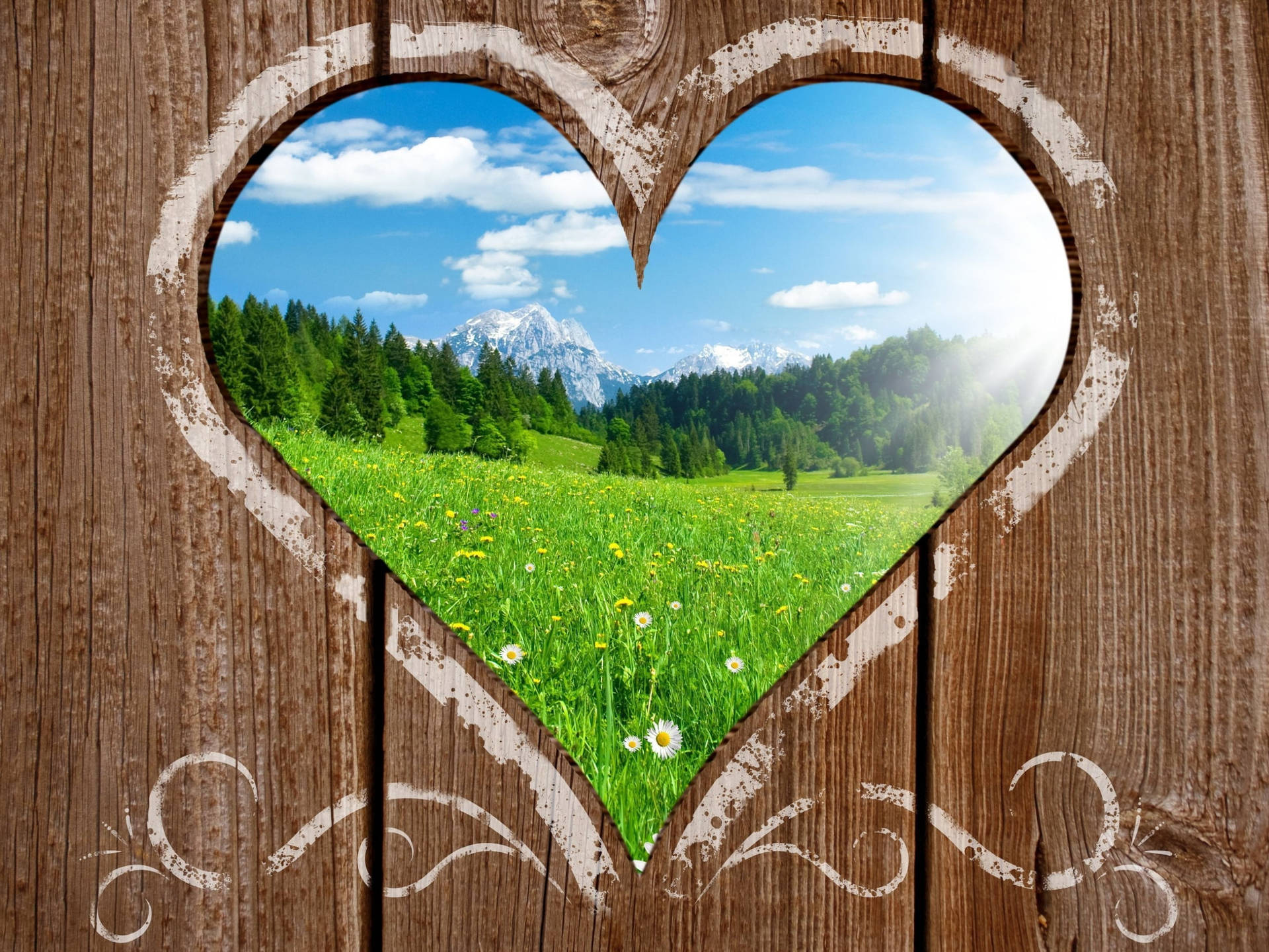 Love Nature Through Wooden Heart Background