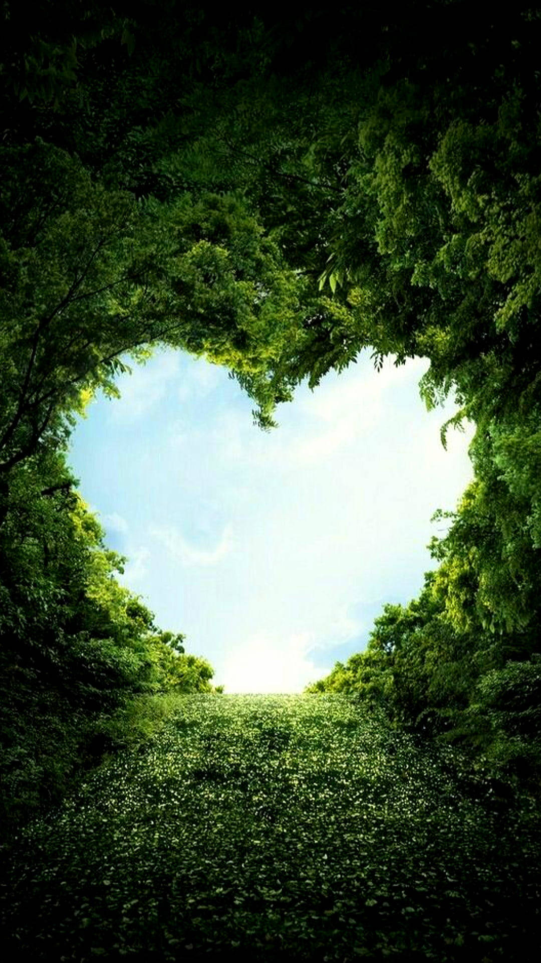 Love Nature With Heart Shape Background