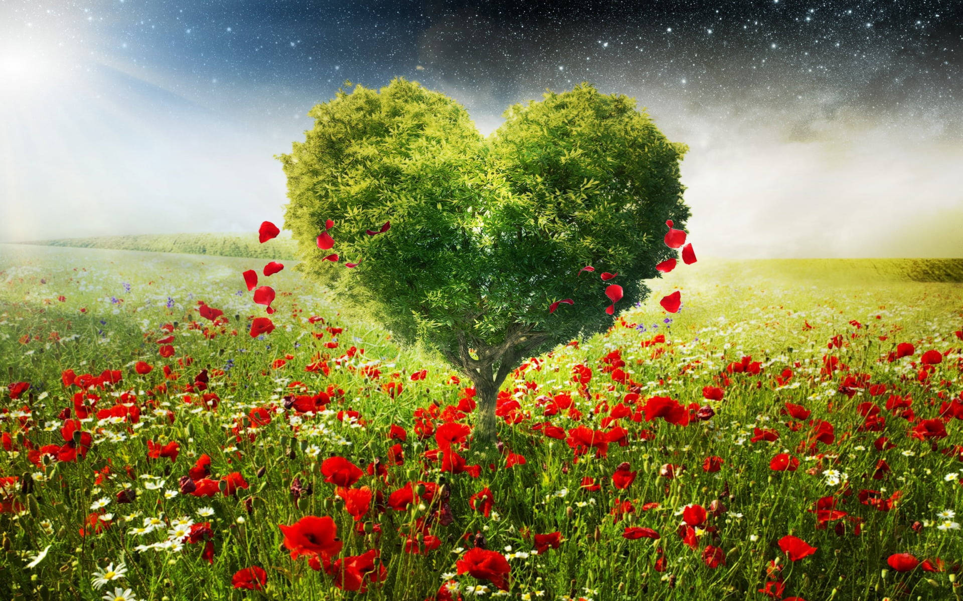 Love Nature With Red Flowers Background