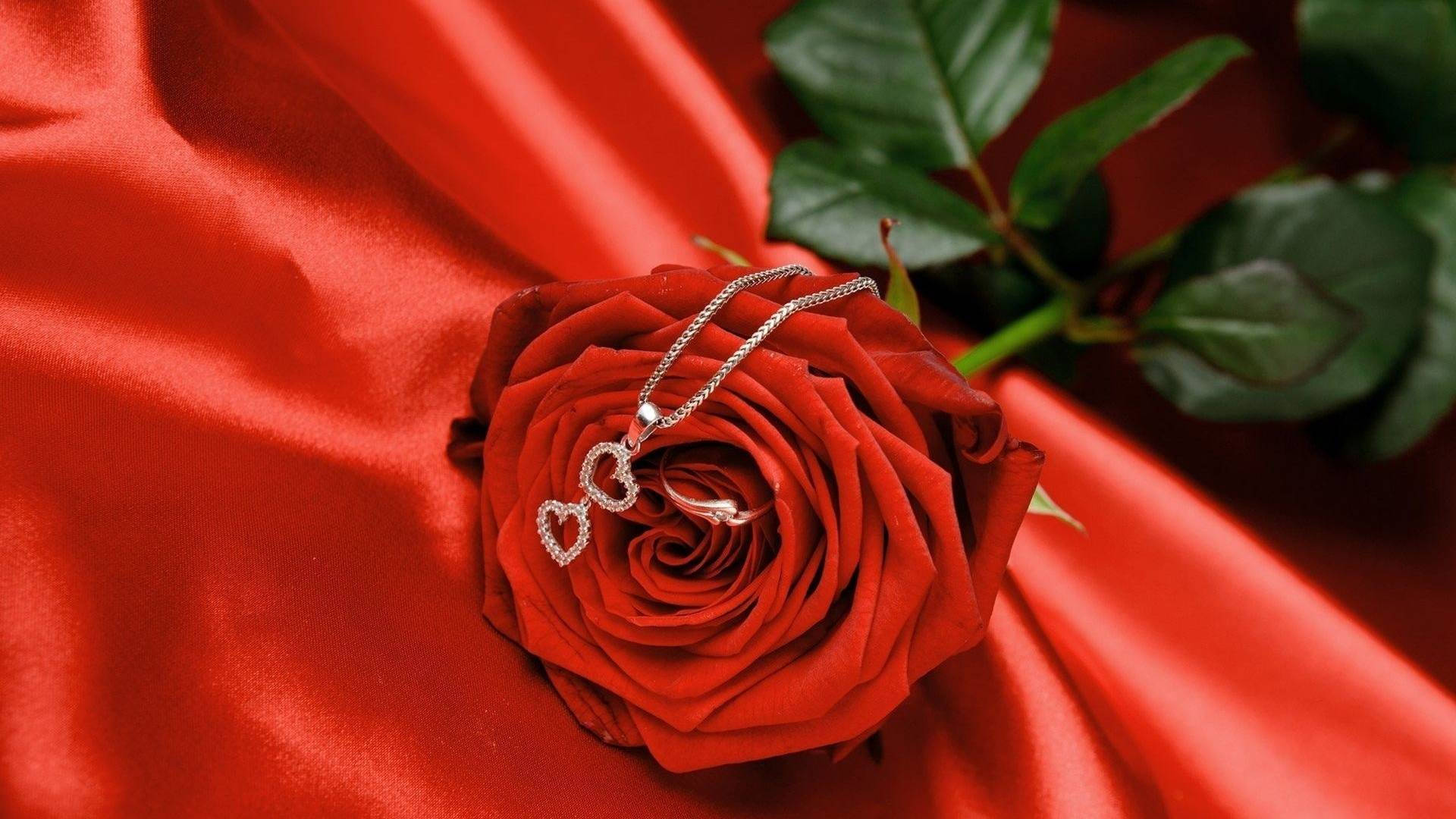 Love Rose Charm Background