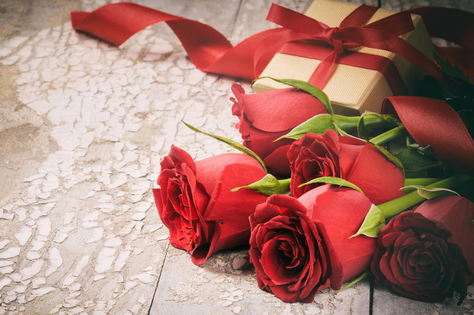 Love Rose Gift Background