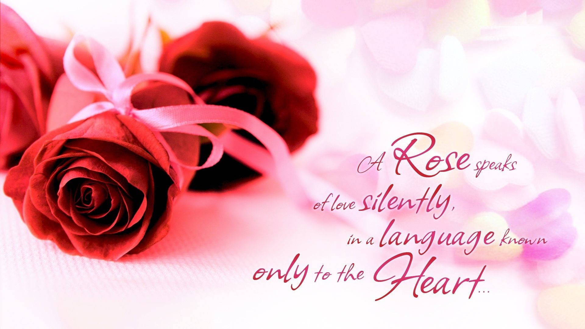 Love Rose Hd Quote