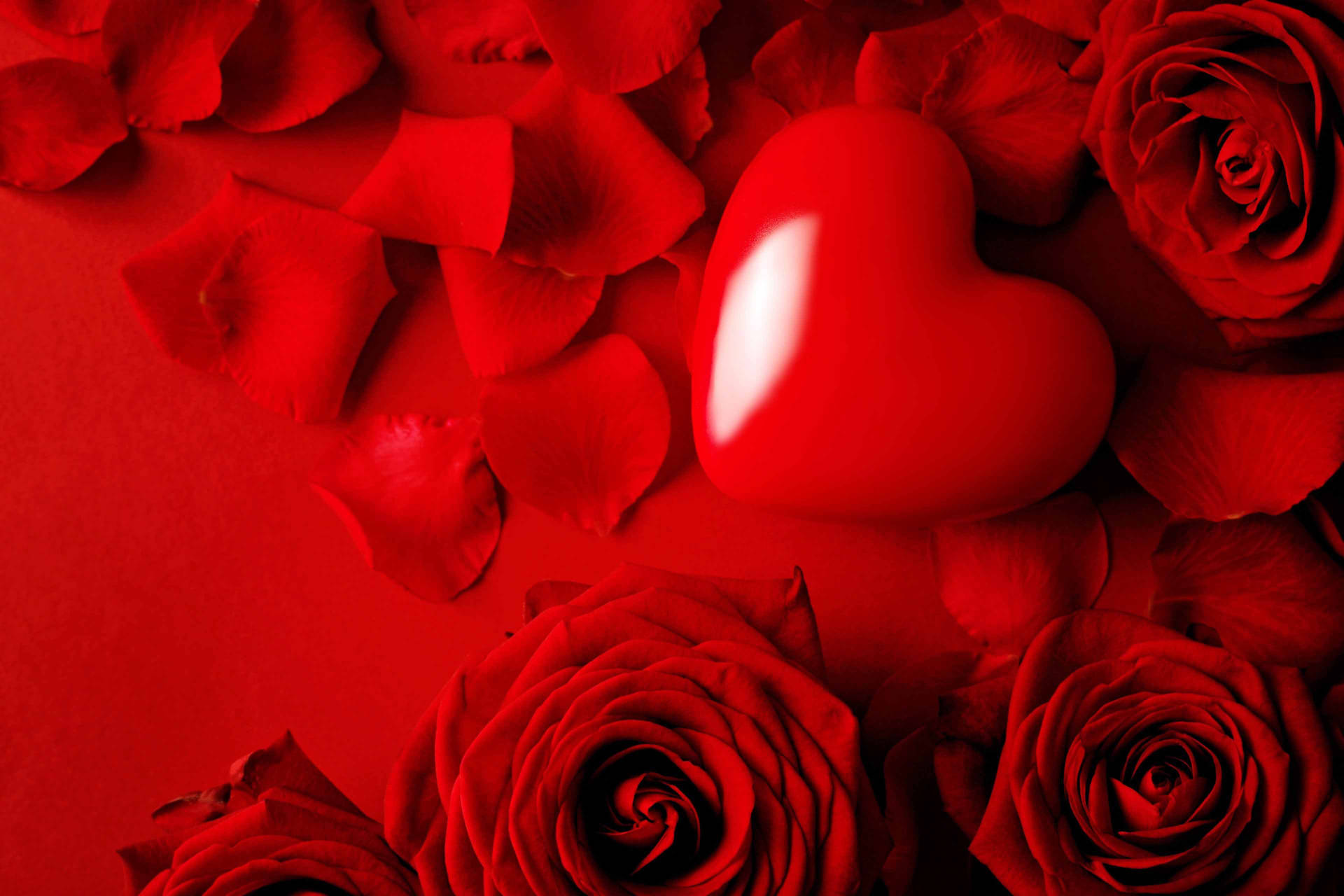 Love Rose Heart Among Petals Background