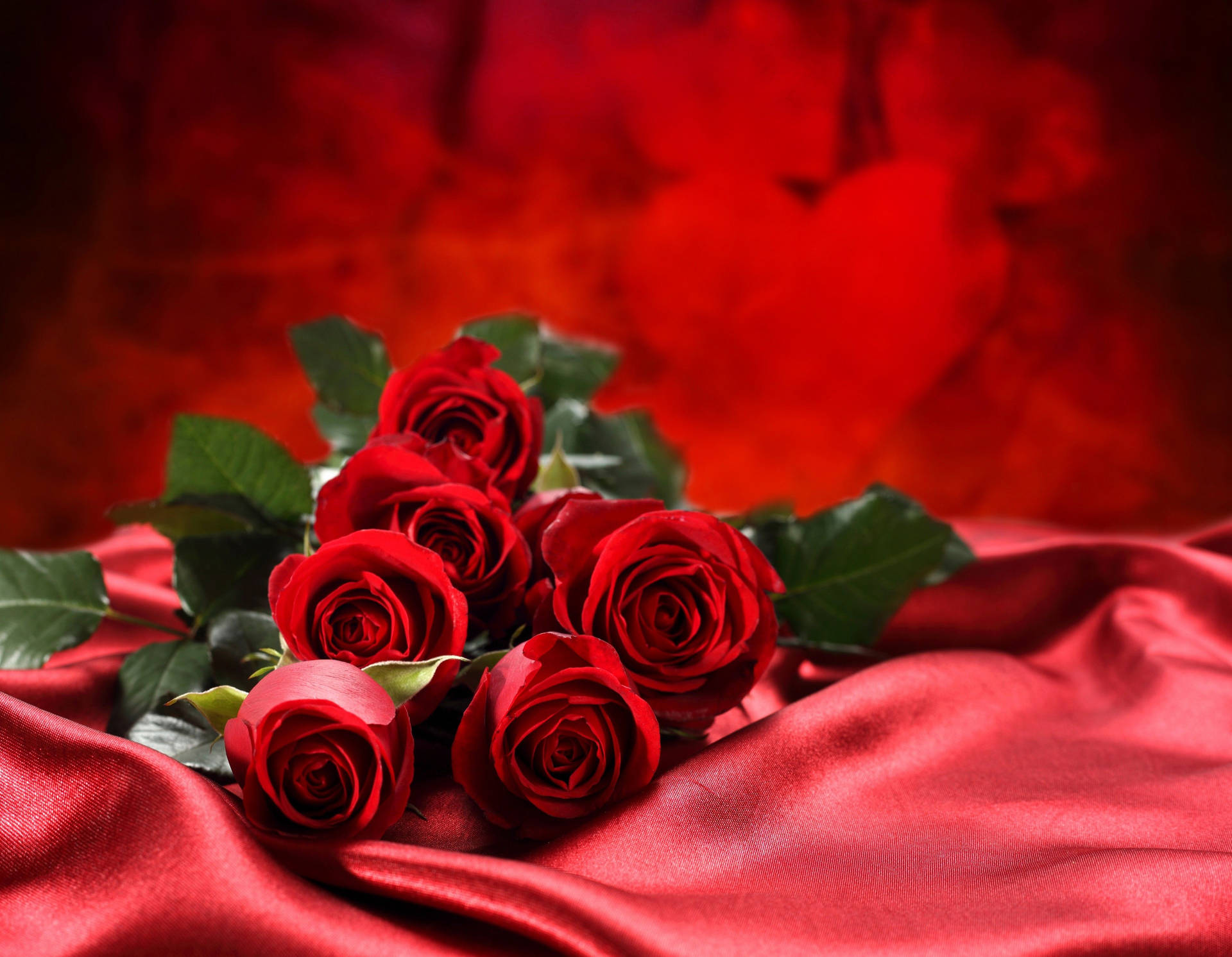 Love Rose Silks Background