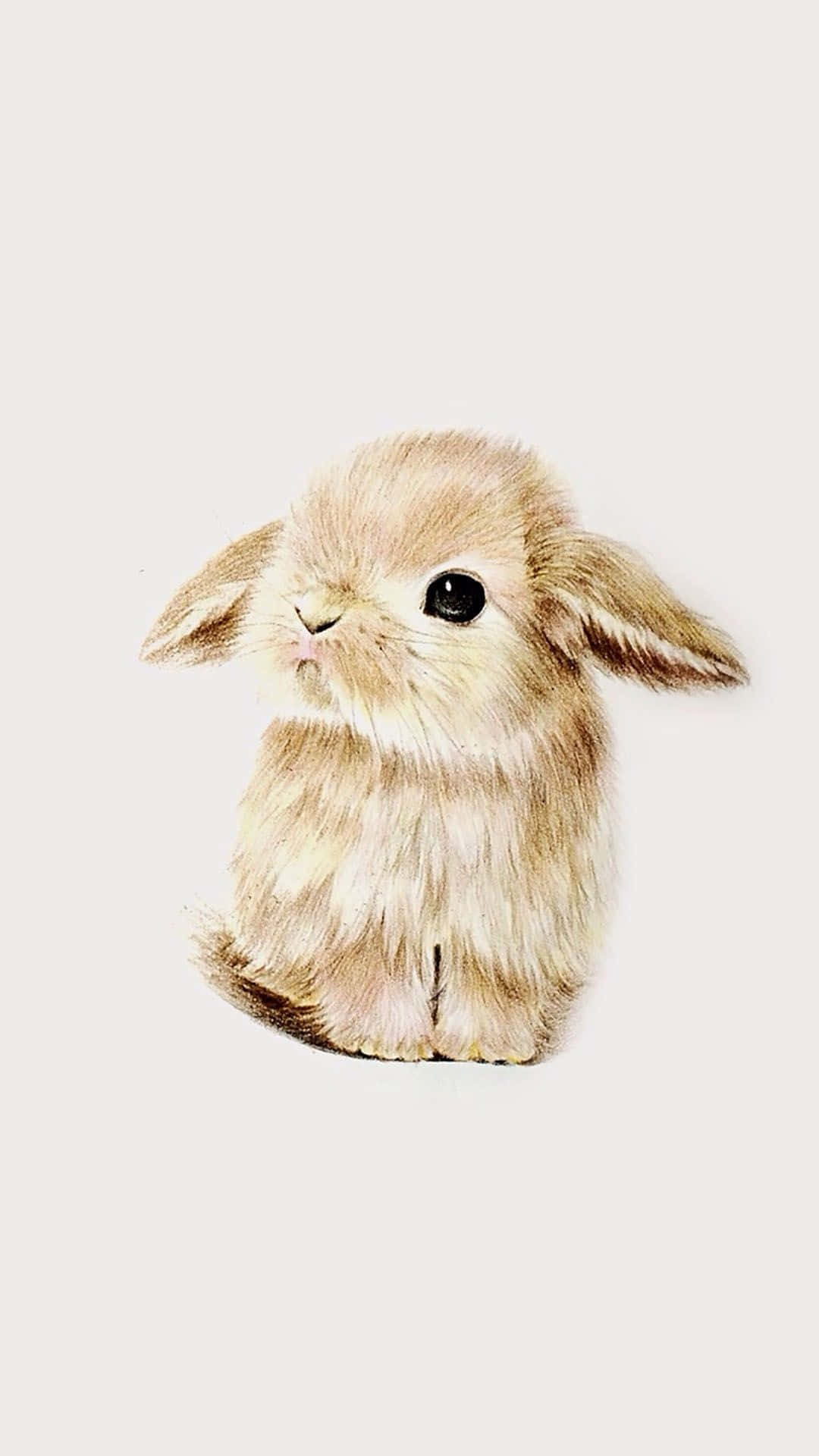 Love This Cute Bunny Iphone Wallpaper Background