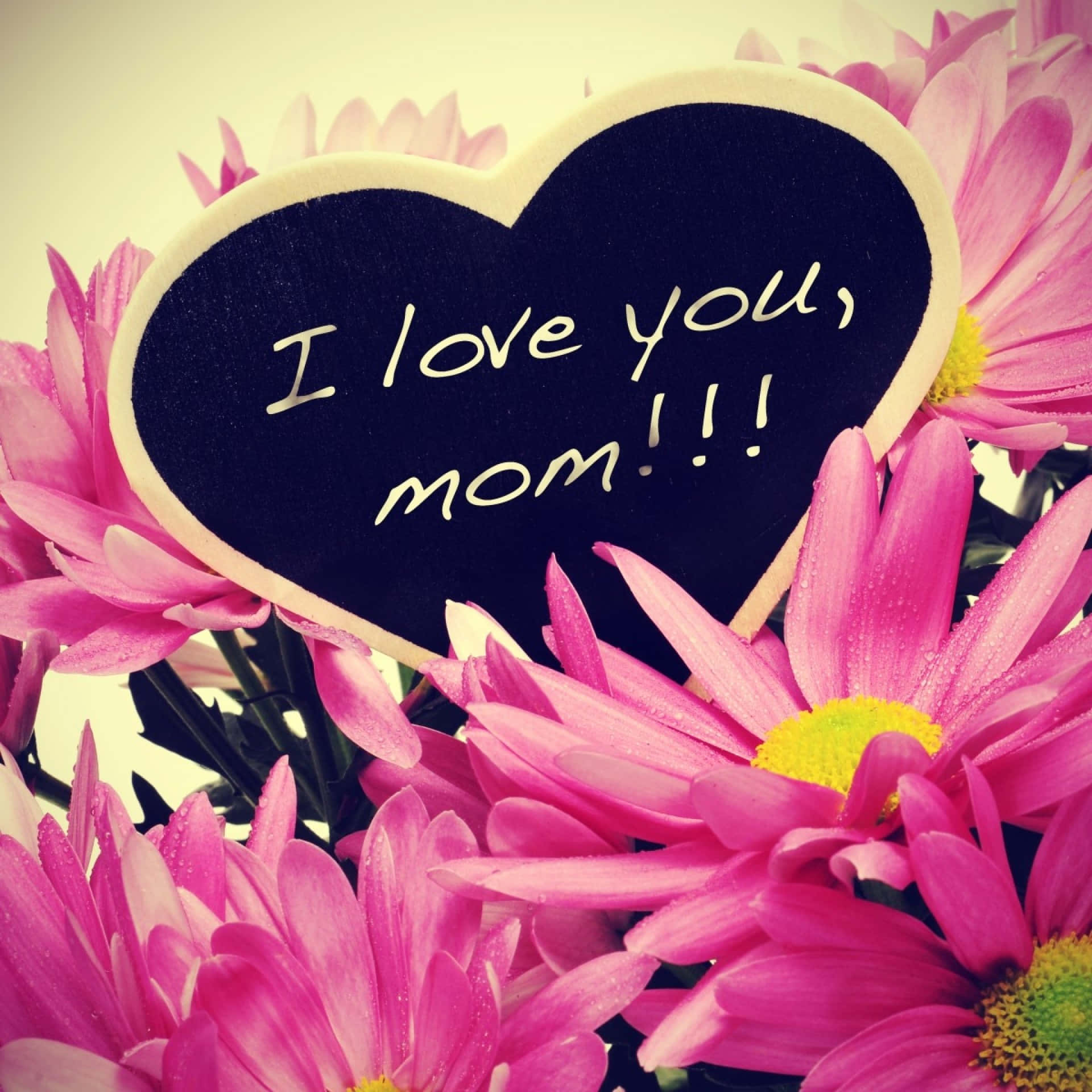 Love You Mom Flowers Message Background