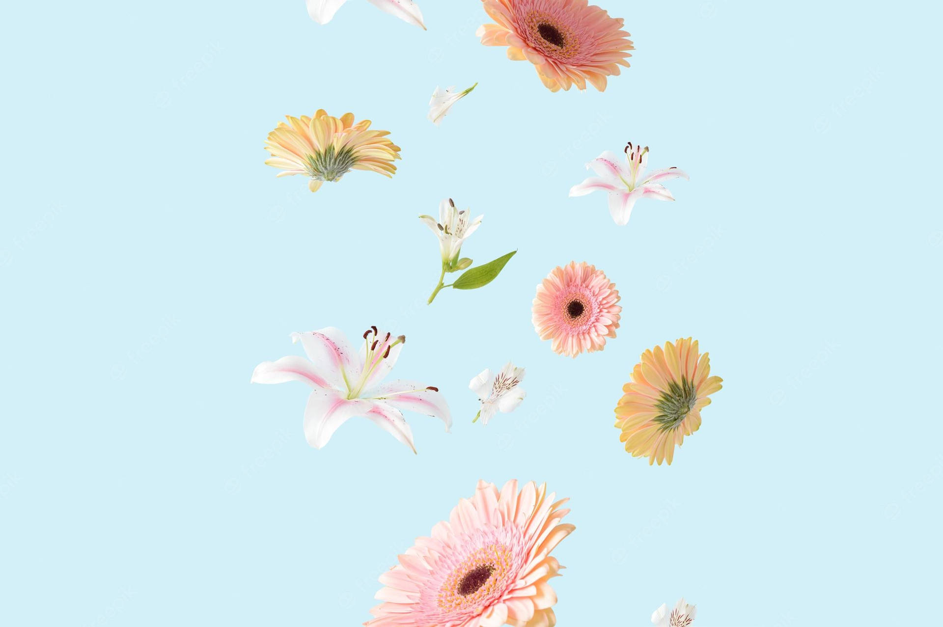 Lovely Aesthetic Spring Iphone Theme Background