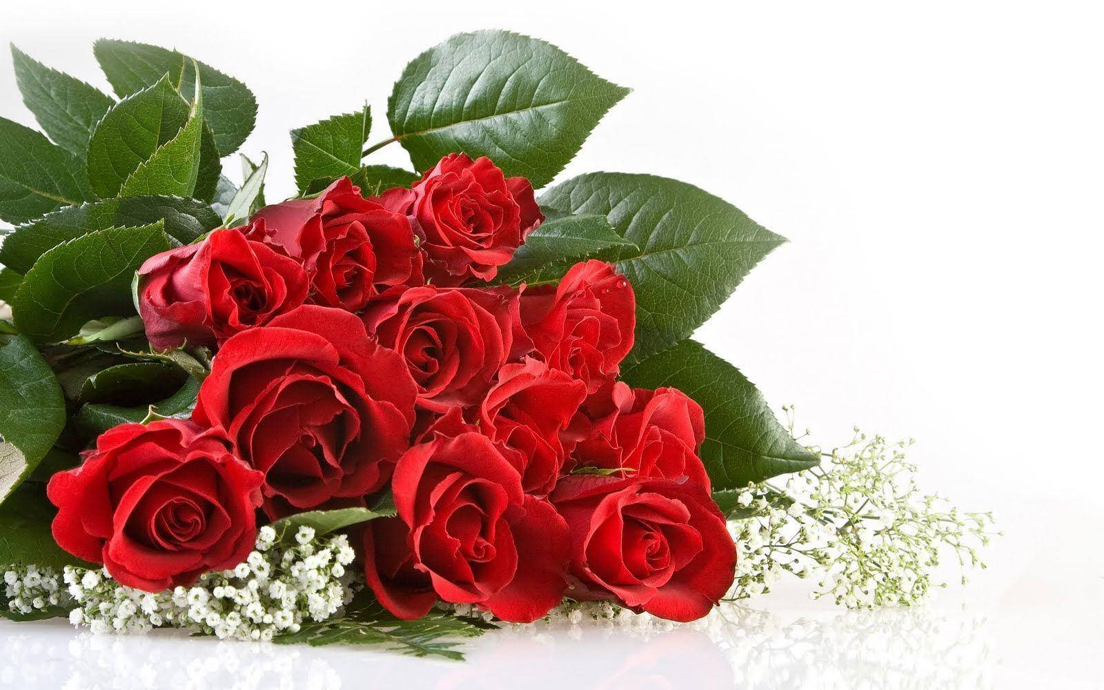 Lovely Bouquet Of Red Rose Flowers
