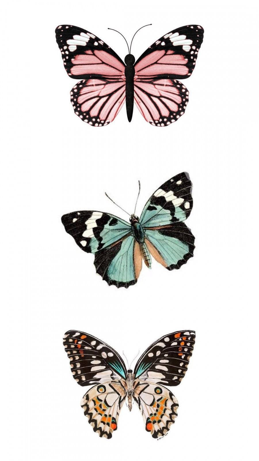 Lovely Butterfly Aesthetic Background