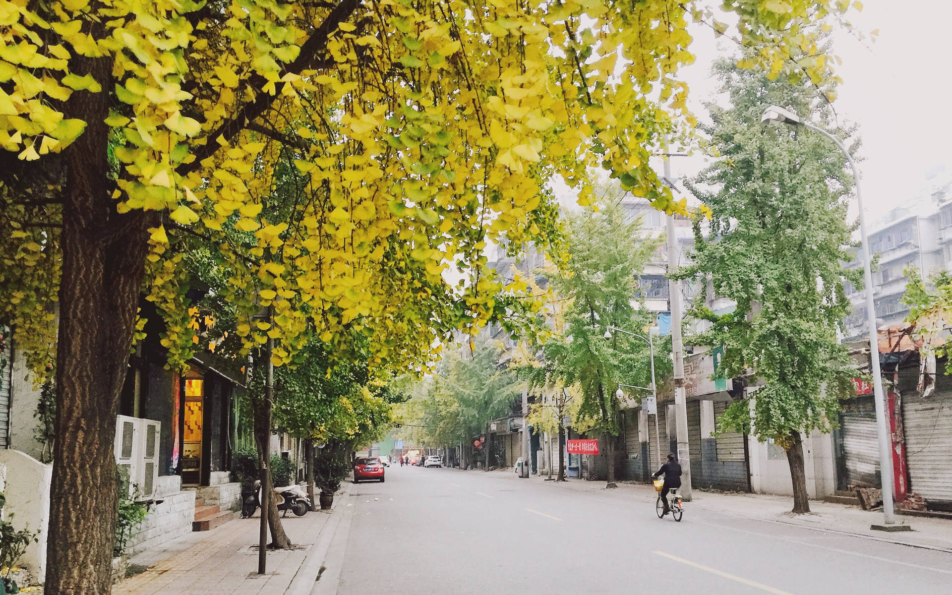 Lovely Chengdu Street Background