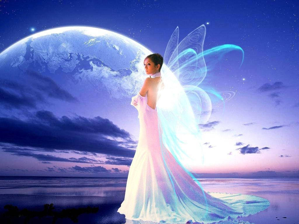 Lovely Fairy In White Background