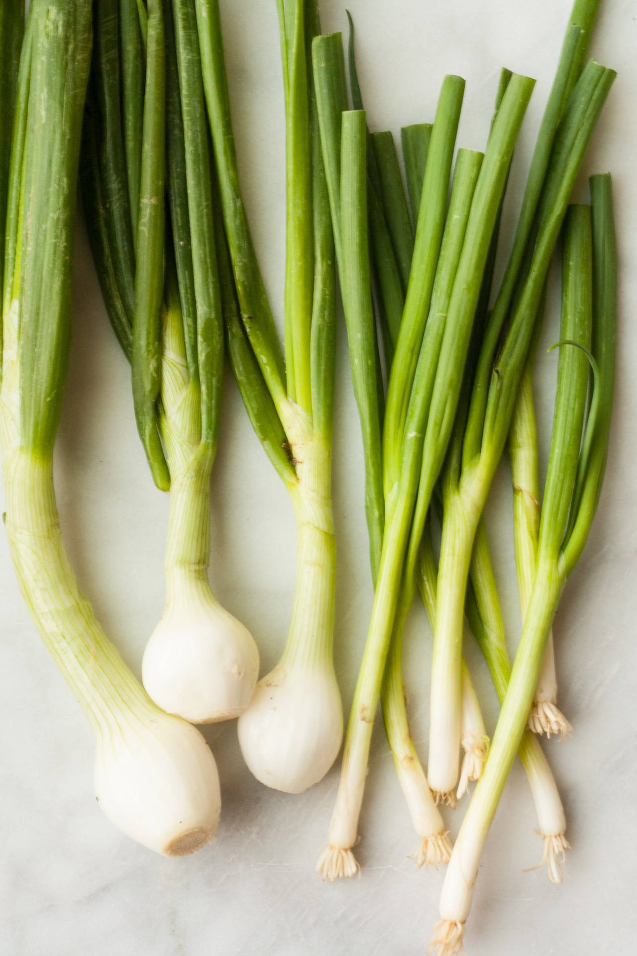 Lovely Flat Lay Green Onion Bulbs Background