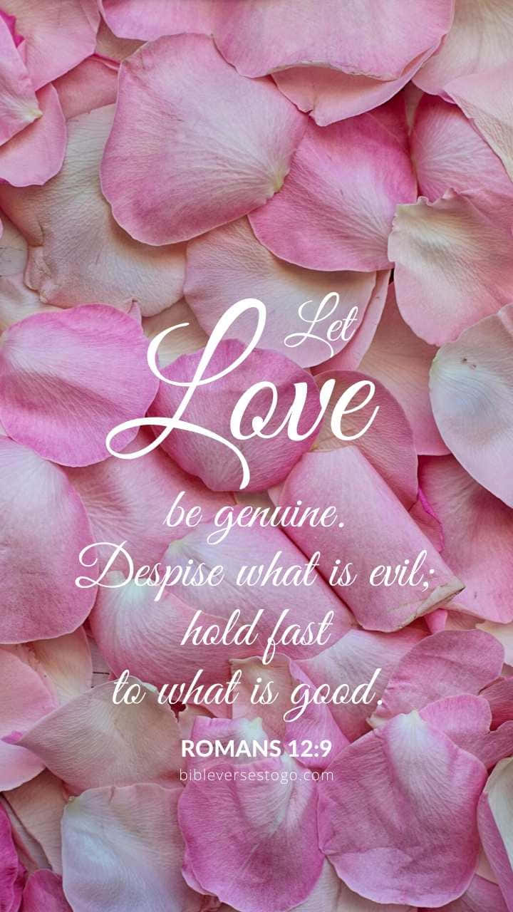 Lovely Girly Bible Verse With Petals Background