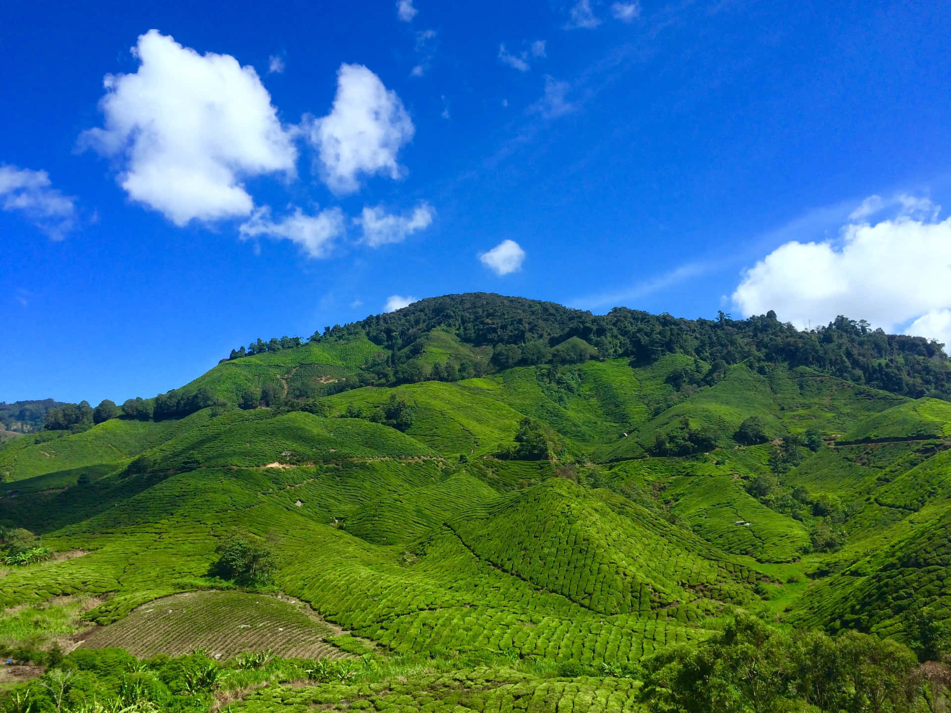 Lovely Hills Clear Skies Background