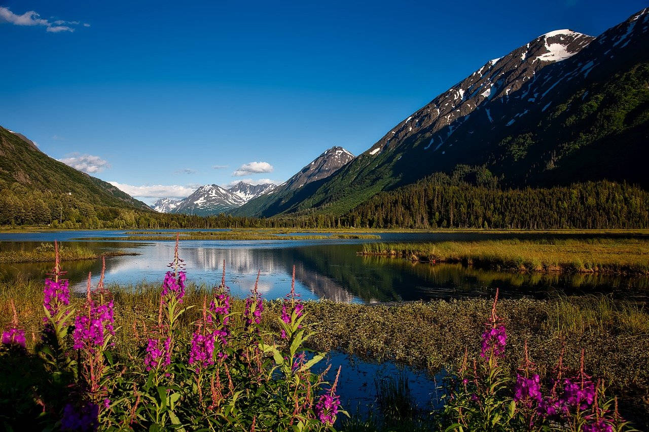 Lovely Landscape Of Anchorage Background