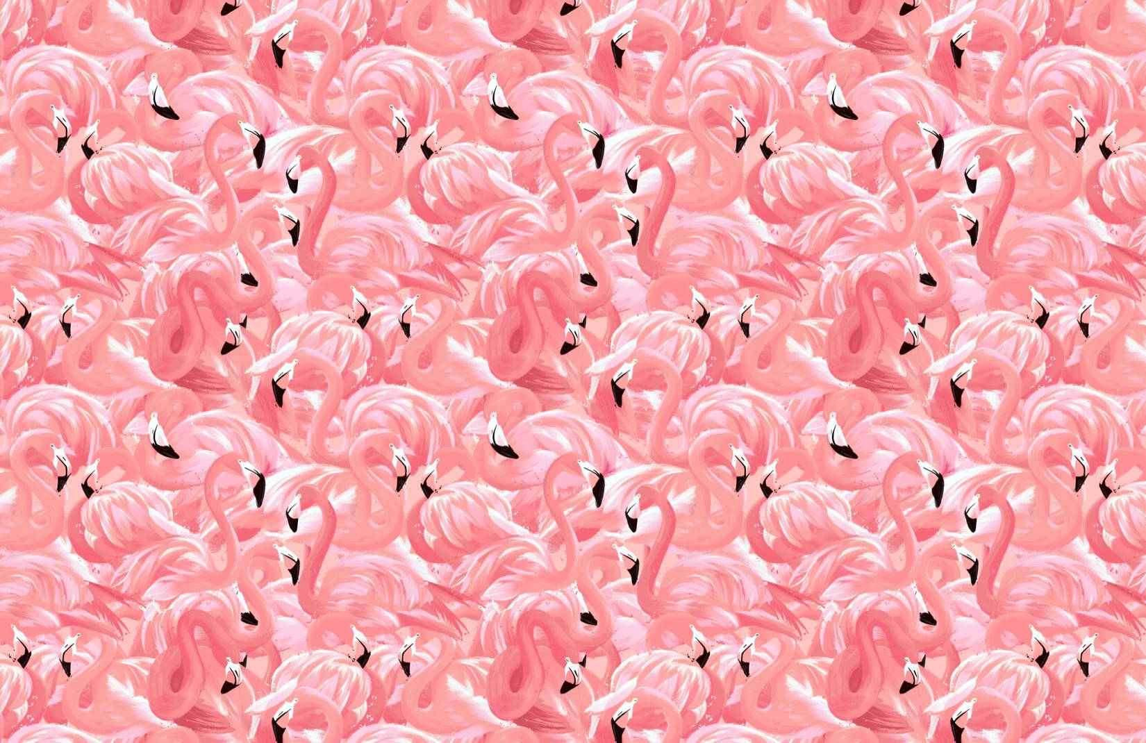 Lovely Pink Flamingo Birds Background