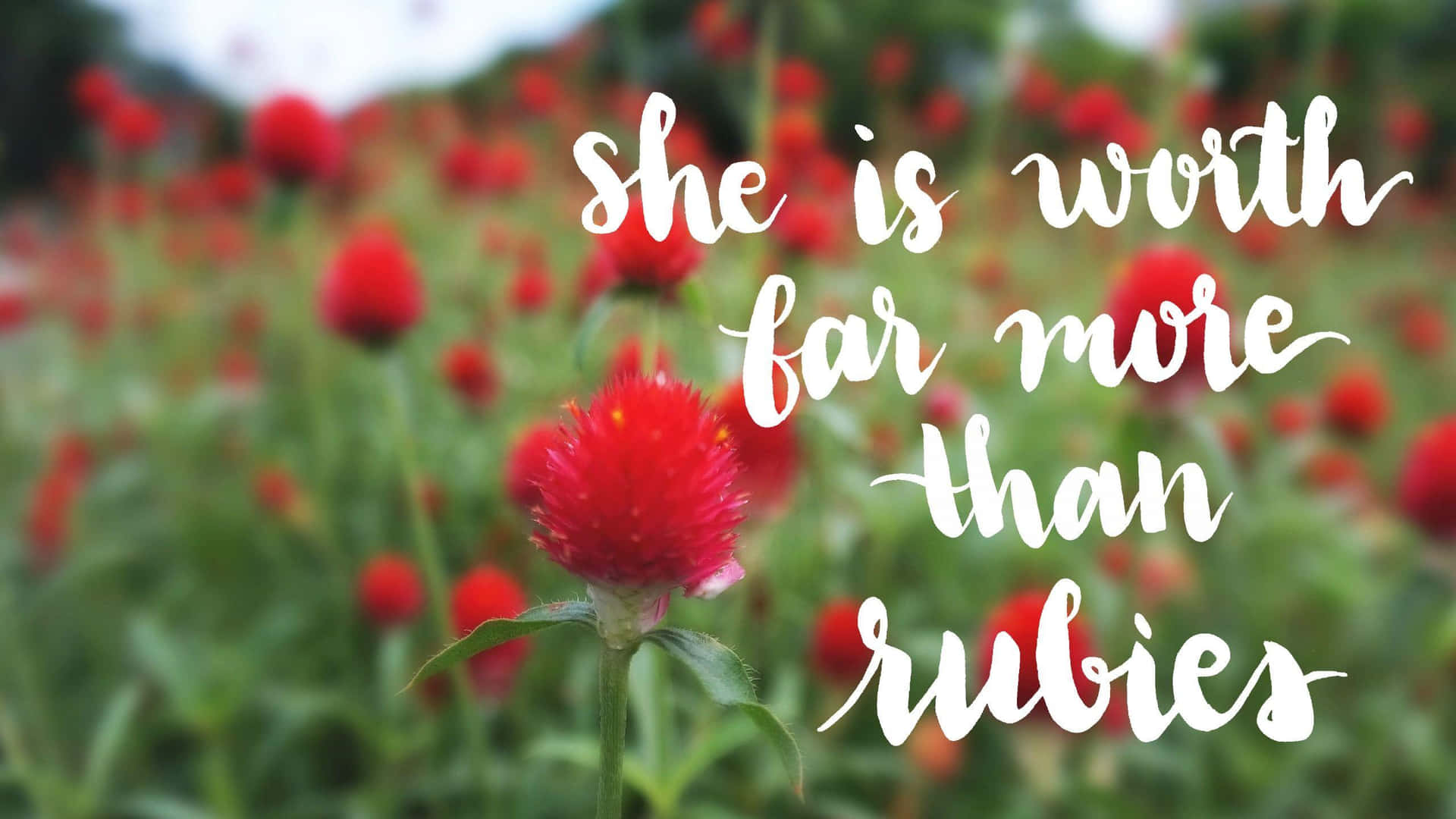 Lovely Proverbial Quote Background