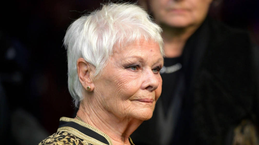 Lovely Sight Of Judy Dench