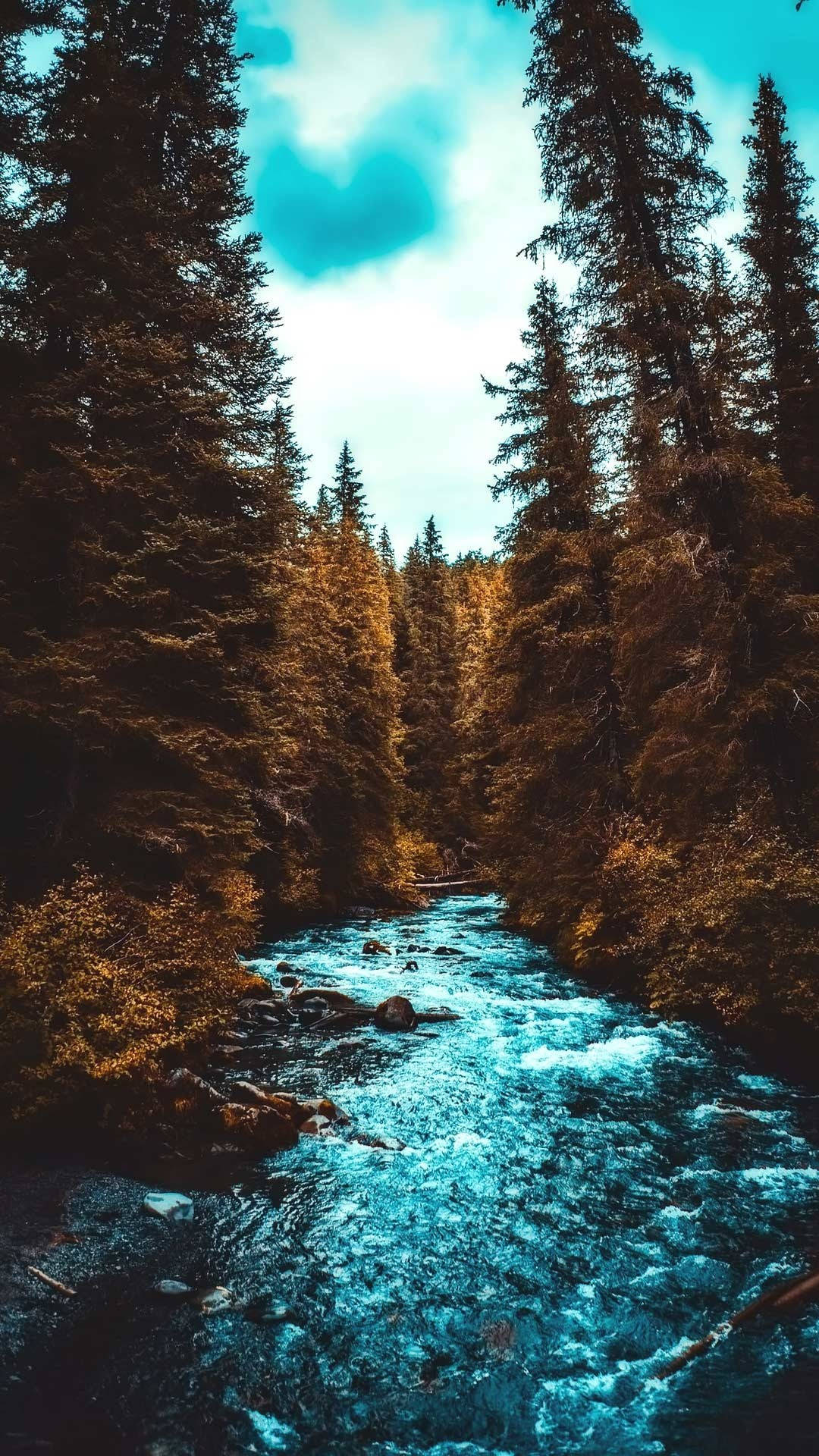 Lovely Stream And Autumn Forest Iphone Background