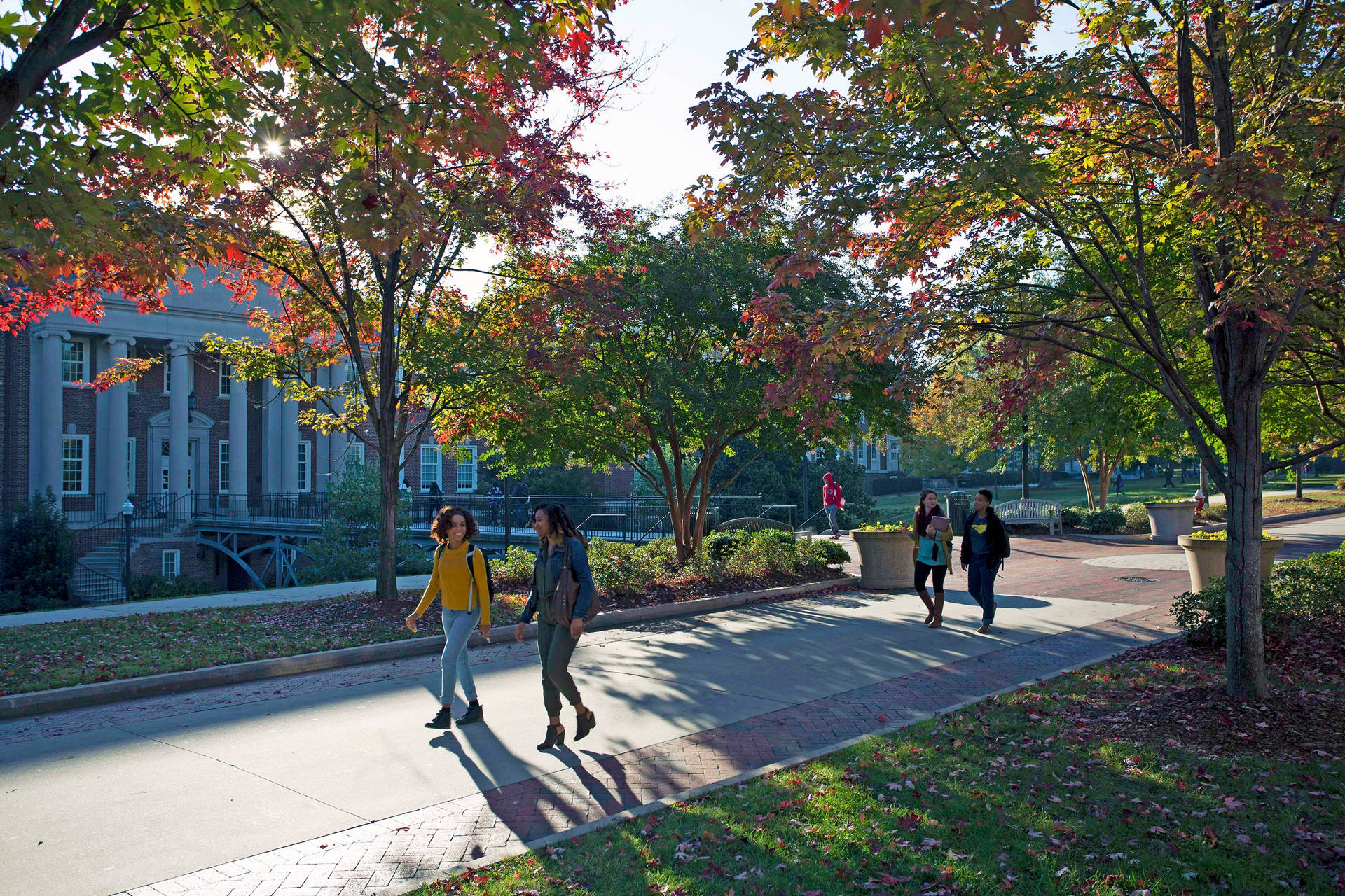 Lovely Trees At University Of North Carolina Greensboro Background