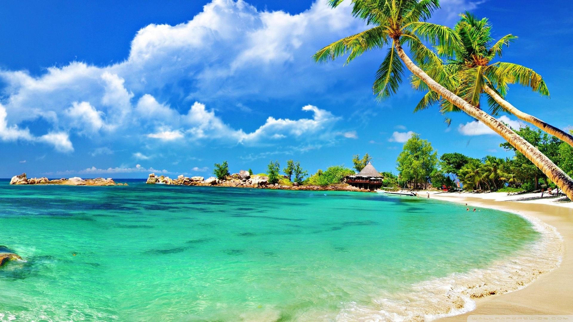 Lovely Tropical Seashore Background