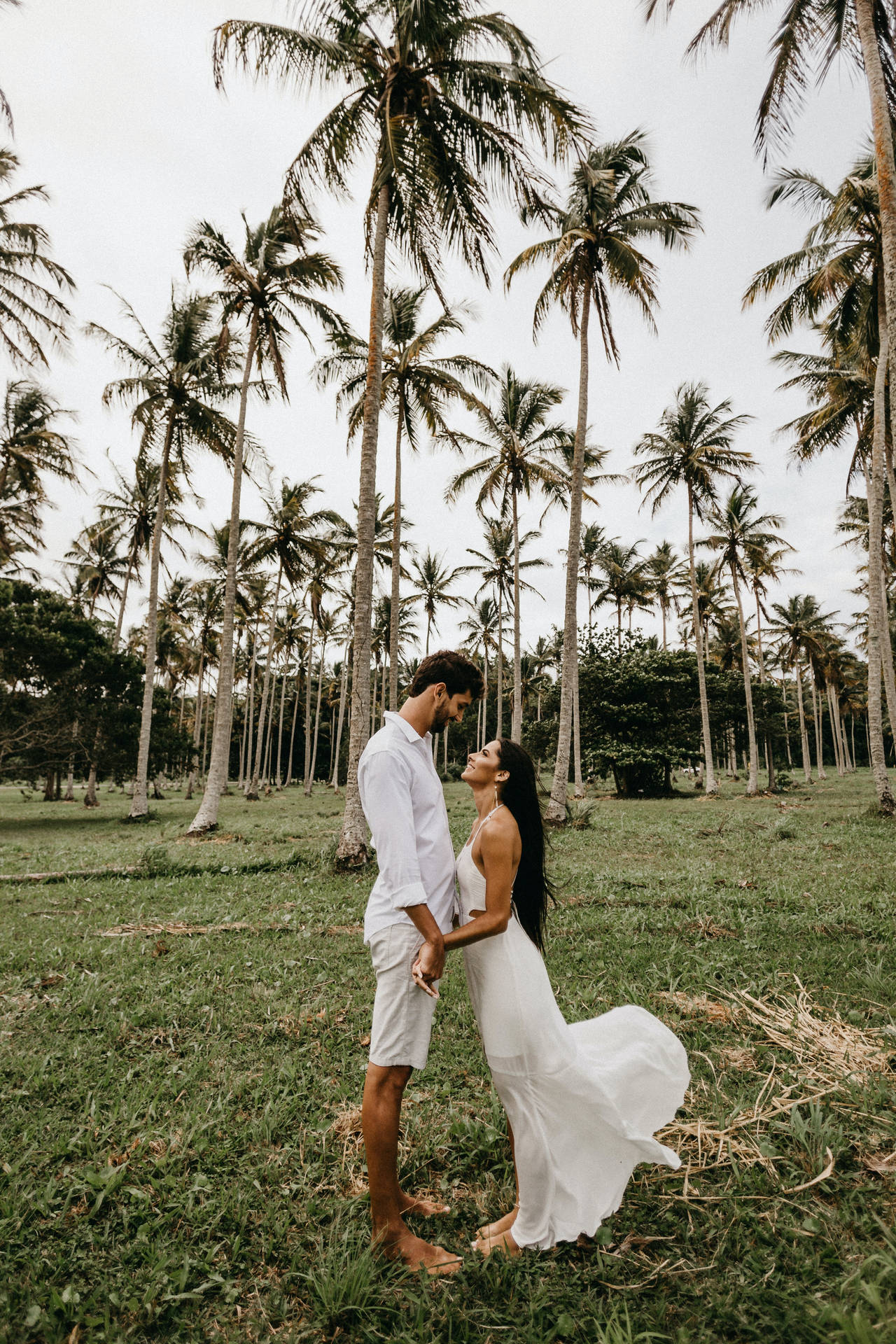 Lovers Coconut Trees Background