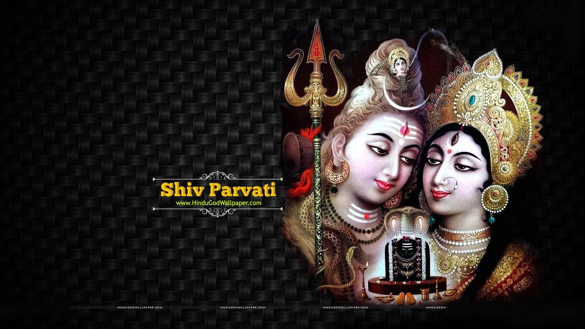 Lovers Shiva Parvati Dark Background