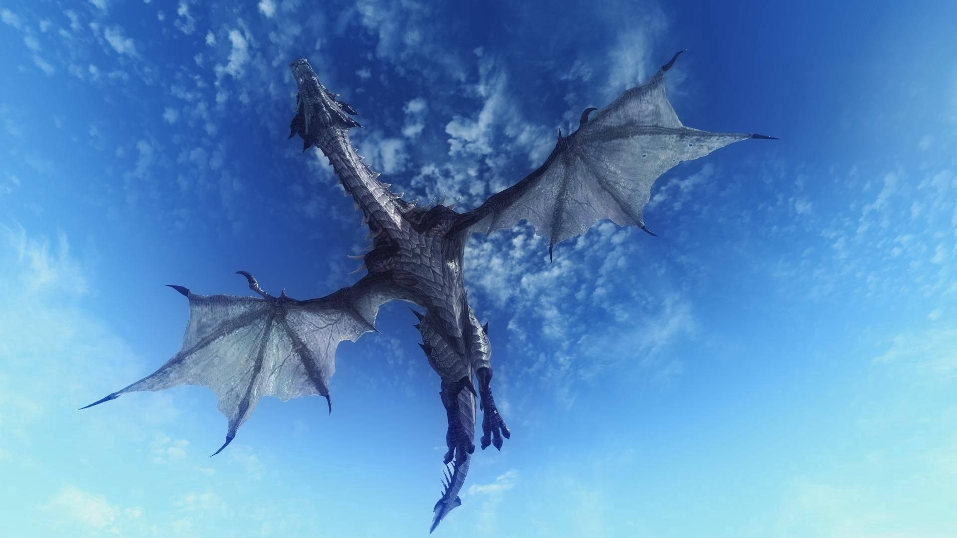 Low Angle Flying Dragon Background