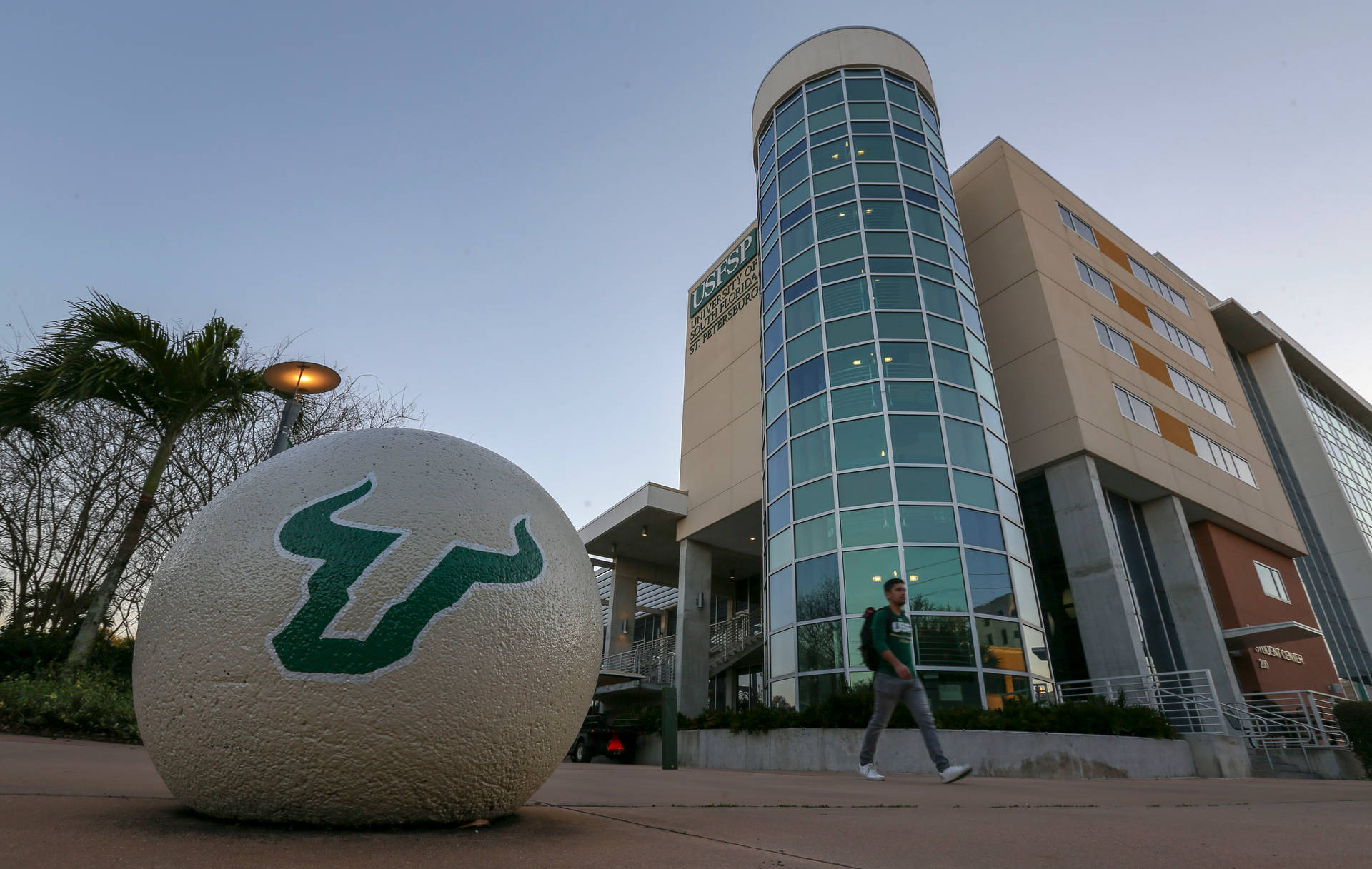 Low-angle Shot University Of South Florida Background