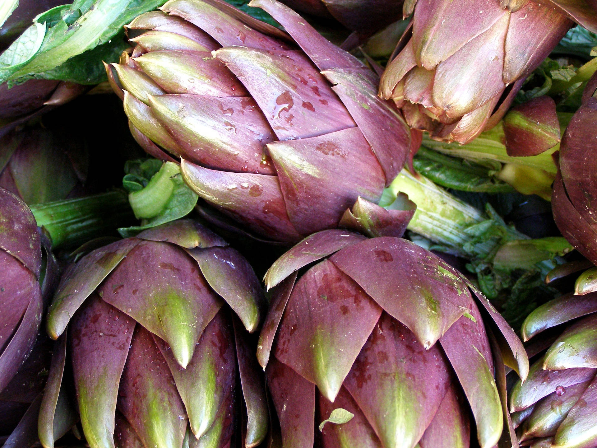 Low Carb Artichoke Vegetables Close Up Shot Background