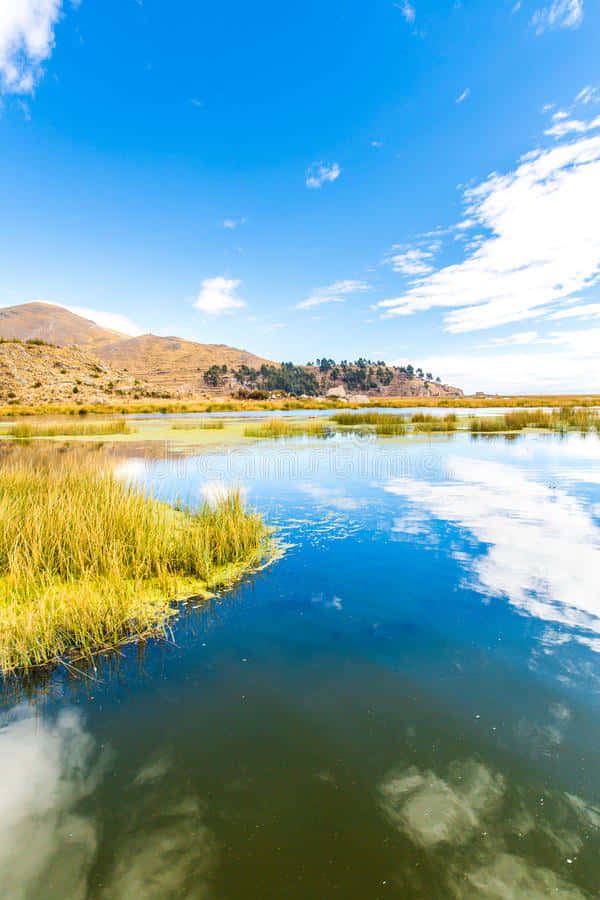 Low Shores Of Lake Titicaca Background
