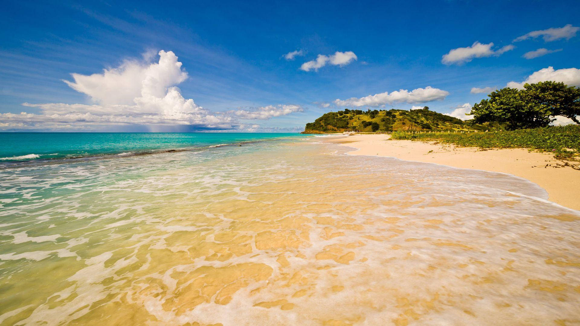 Low Tide Caribbean Barbuda Beach Background