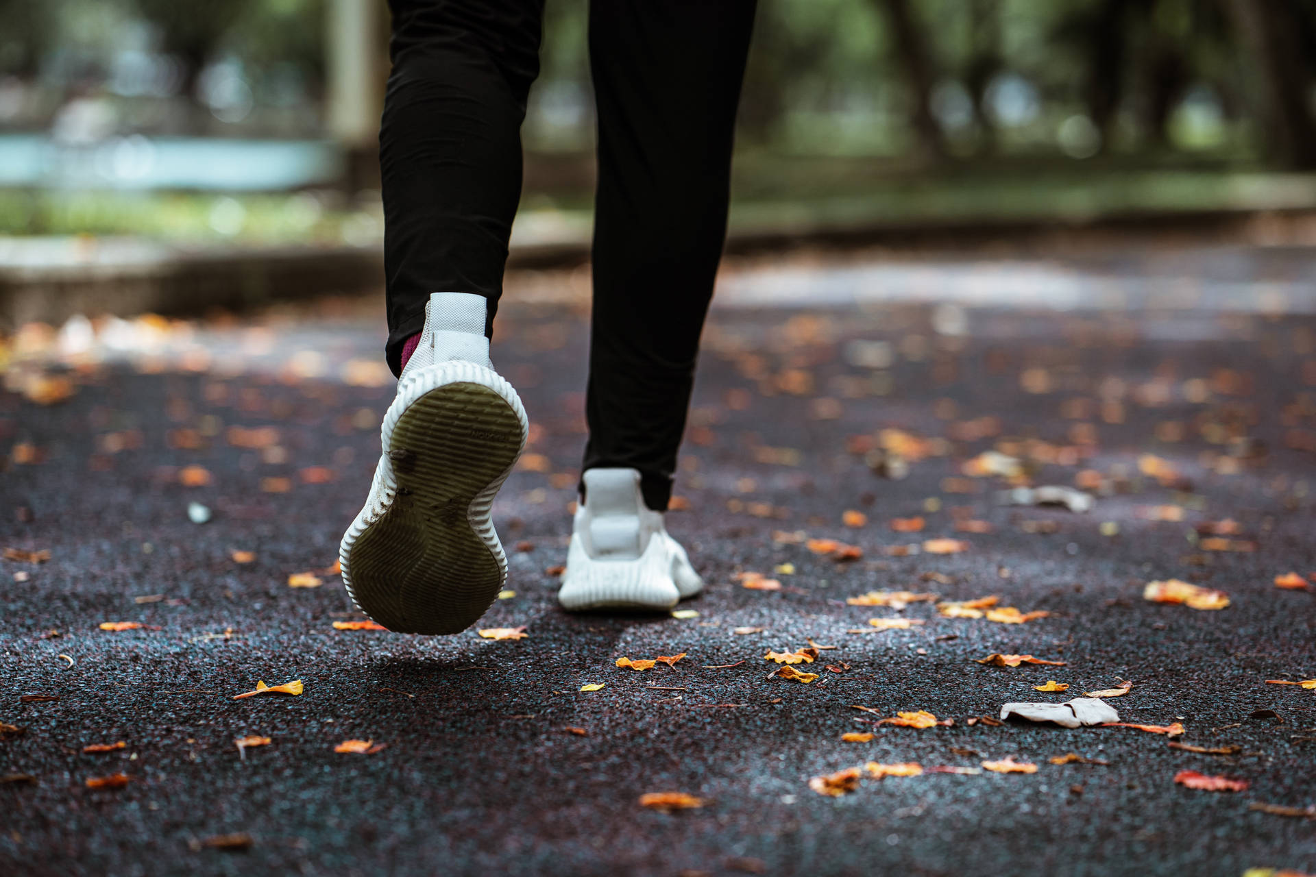 Lower Jogging Empty Park Background