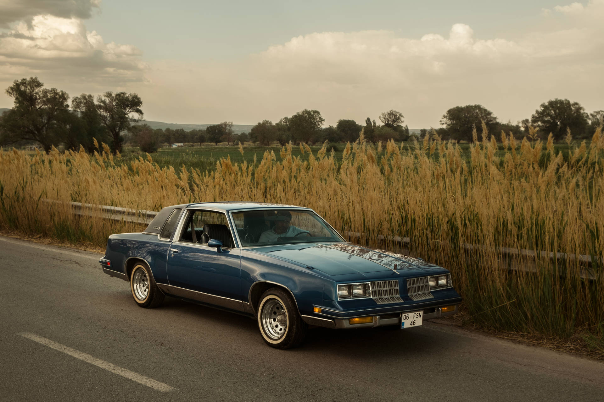 Lowrider Blue Beside Feather Reed Background