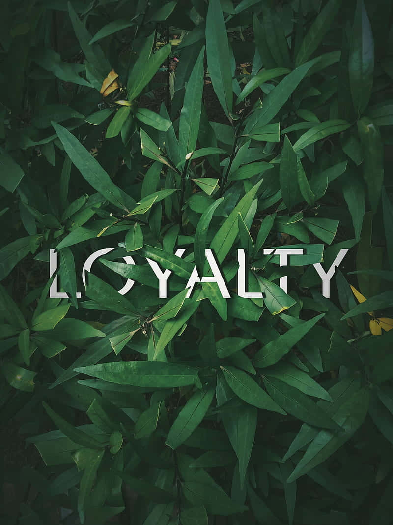 Loyal Buried On The Grasses Background