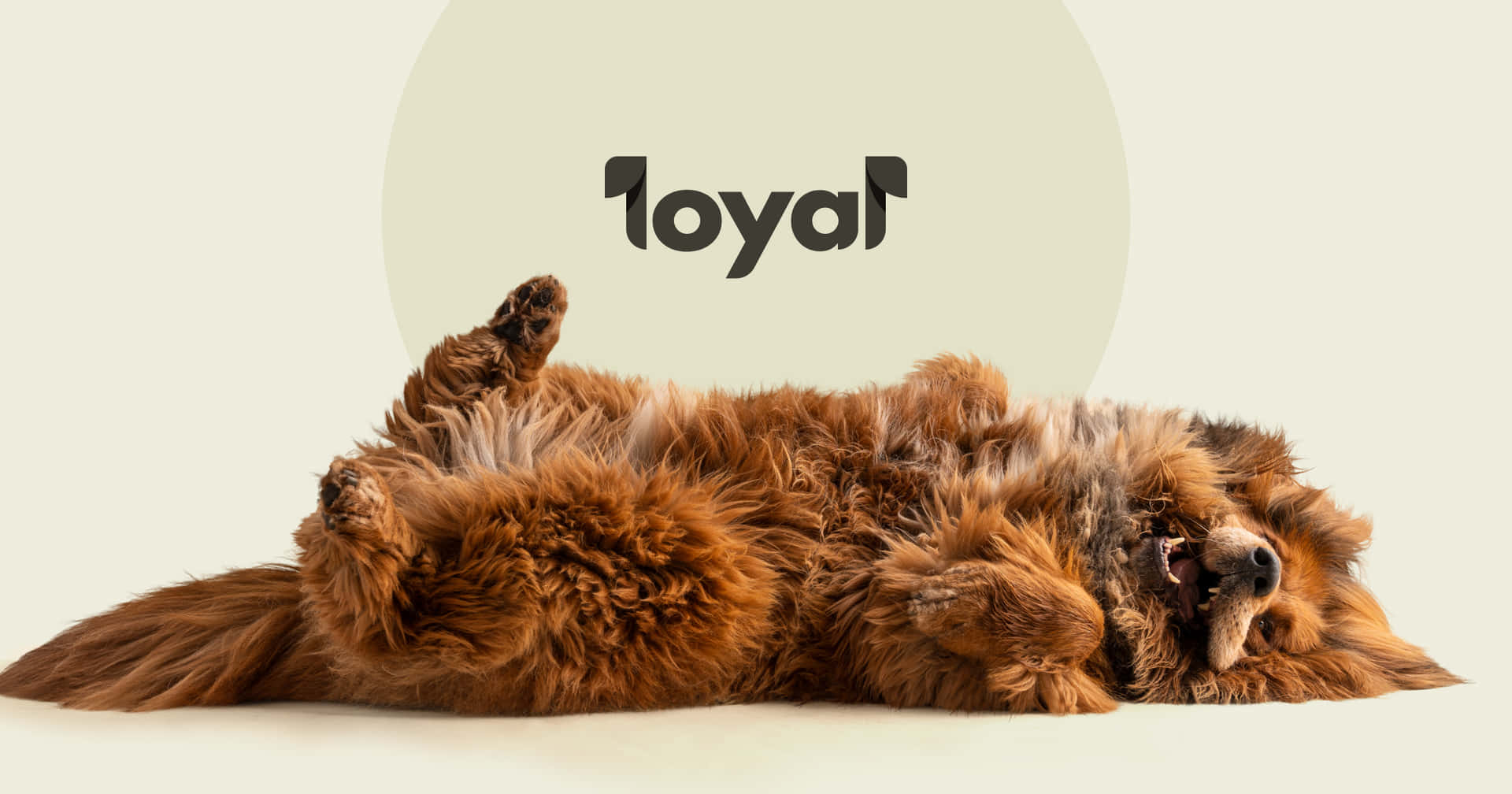 Loyal Dog Background
