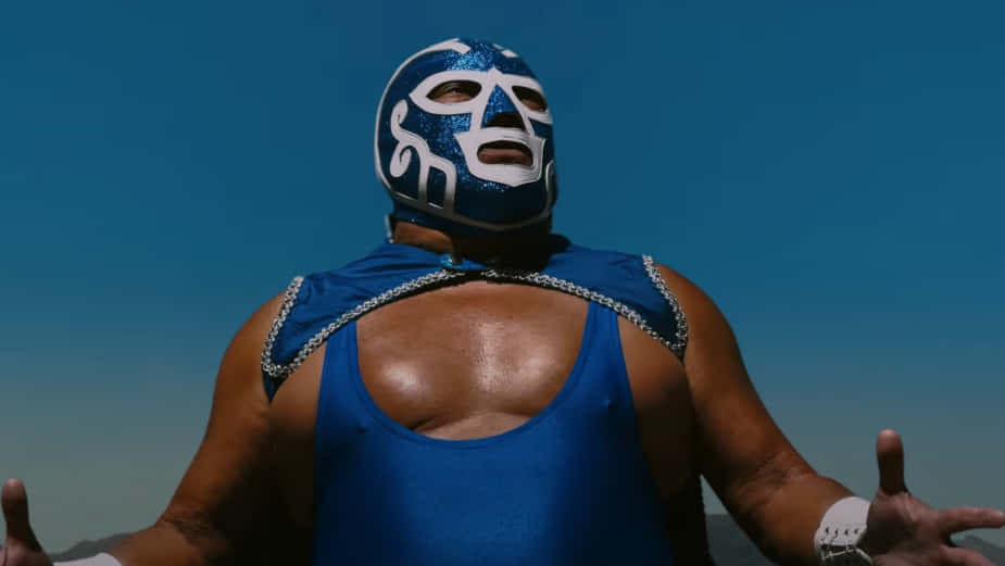 Luchadorin Blue Mask