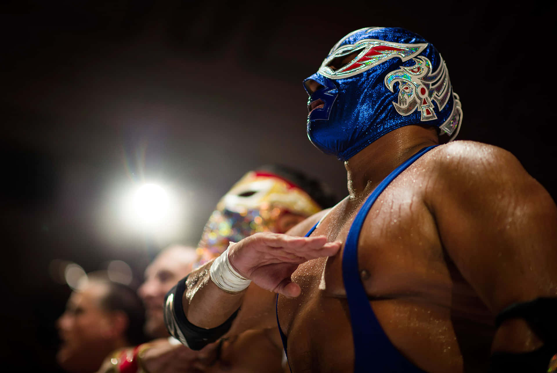 Luchadorin Blue Mask